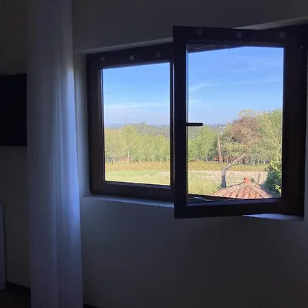 Casa Do Tavares Carvalhais (Viseu)